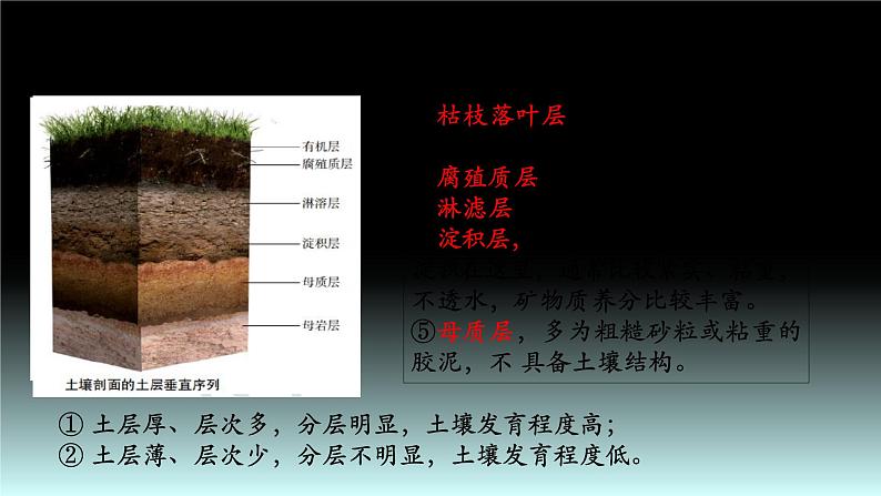 27 土壤与地理环境-2021年高考地理一轮复习考点大通关 课件05