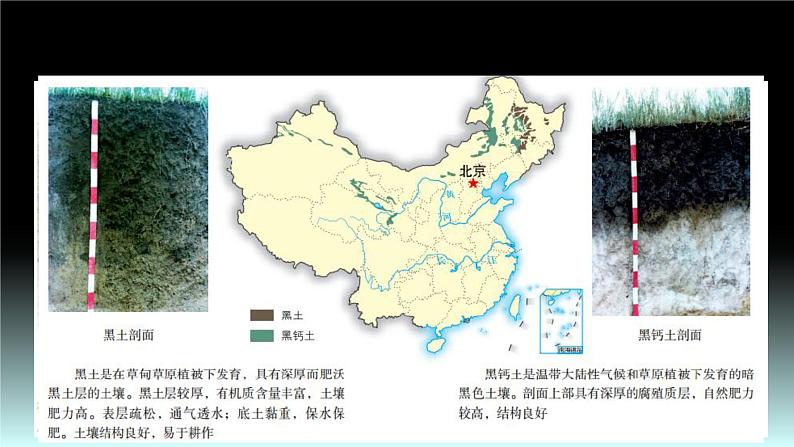 27 土壤与地理环境-2021年高考地理一轮复习考点大通关 课件06