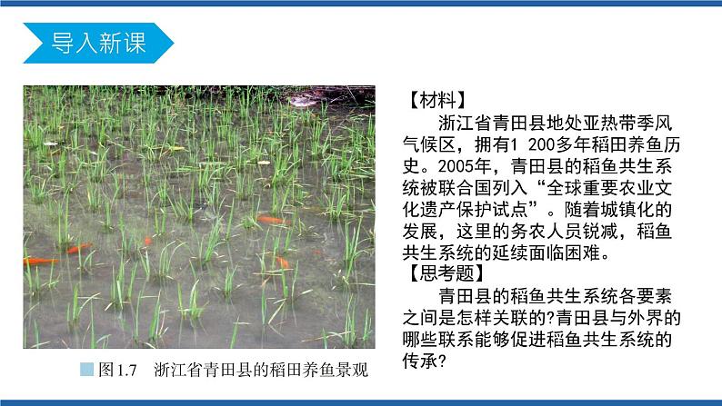 1.2区域整体性和关联性(第1课时)课件及视频素高二地理同步备课系列(新教材人教版选择性必修2)02