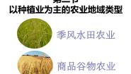 高中地理人教版 (新课标)必修2第二节 以种植业为主的农业地域类型图片ppt课件