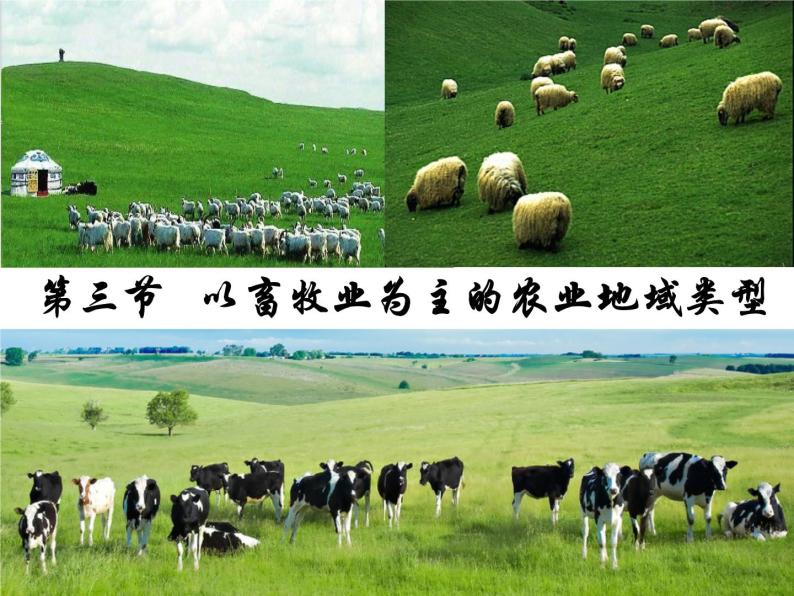 3.3以畜牧业为主的农业地域类型必修2人教版高中地理 课件01