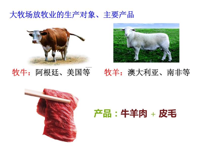 3.3以畜牧业为主的农业地域类型必修2人教版高中地理 课件04