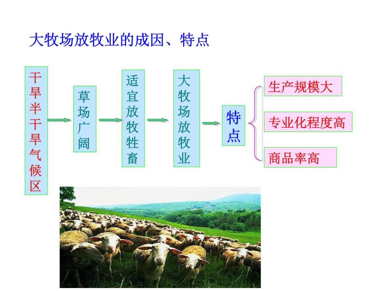 3.3以畜牧业为主的农业地域类型必修2人教版高中地理 课件05