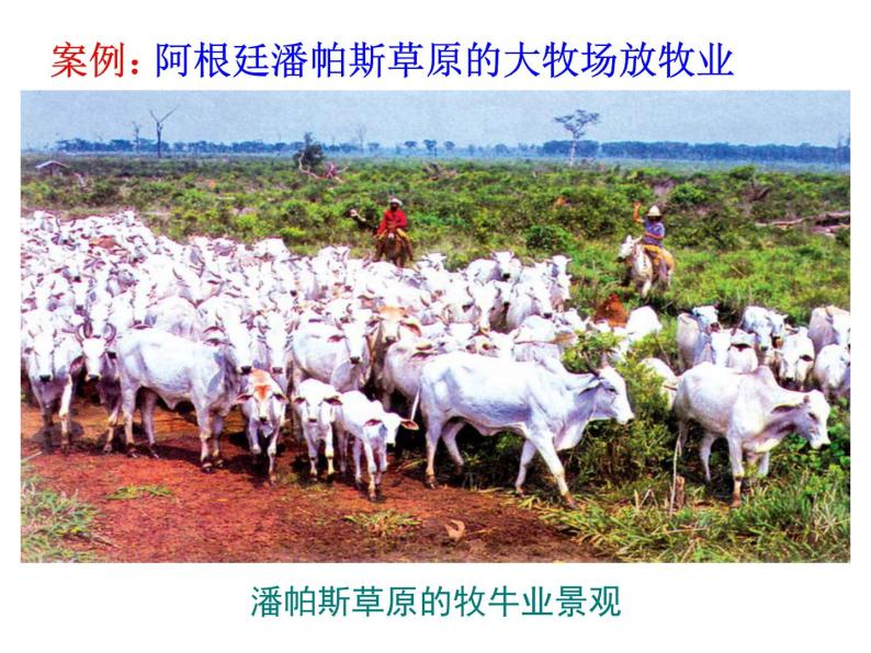 3.3以畜牧业为主的农业地域类型必修2人教版高中地理 课件06