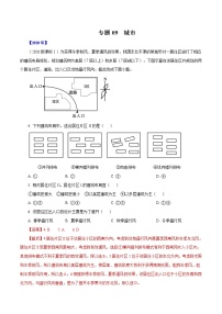 高考地理（2011~2020）真题专项练习   专题09  《城市》（解析版）