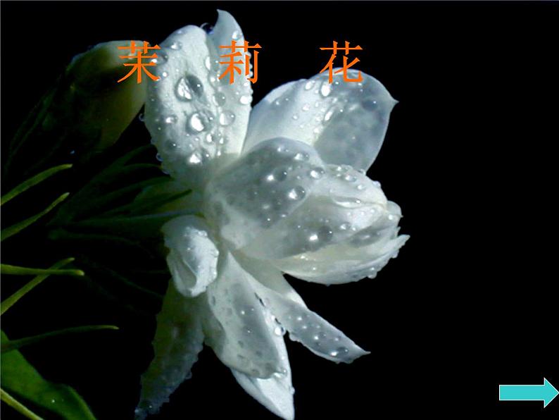 人音版高中《音乐鉴赏》5第五节 飘逸的南国风课件02
