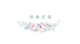 高中舞蹈 舞蹈美育《浪漫芭蕾》ppt 课件