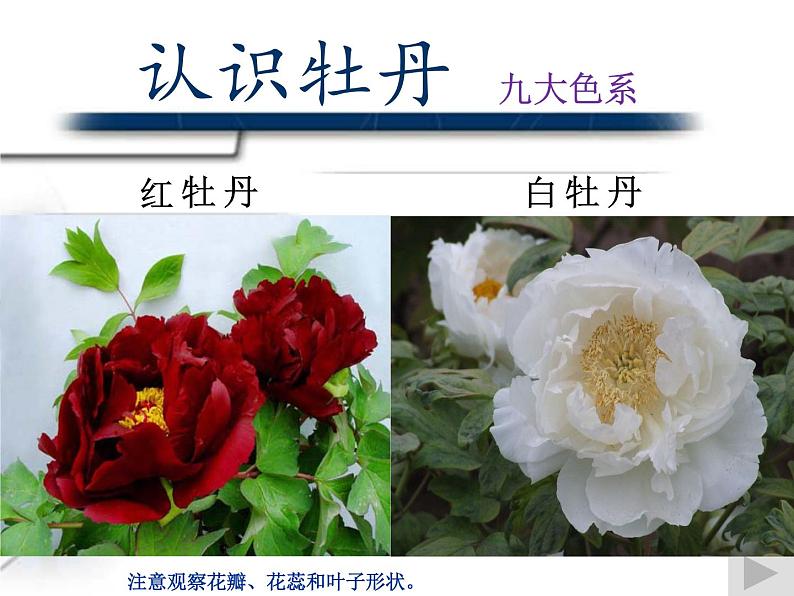 人教版高中美术选修:绘画 第二课 中国画的艺术境界和艺术语言(6) 课件第3页