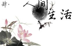 美术美术鉴赏（选修）第四课 人间生活教学演示ppt课件
