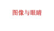 湘美版美术鉴赏（选修）第二课 图像与眼睛图片ppt课件