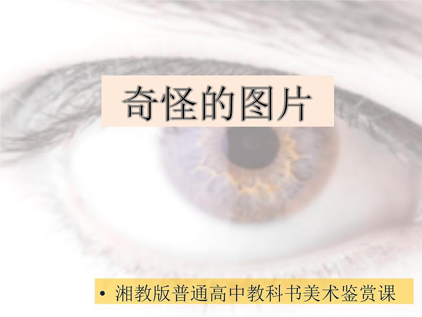 新湘美版高中美術(shù)鑒賞 第一單元 美術(shù)與眼睛 課件第4頁(yè)