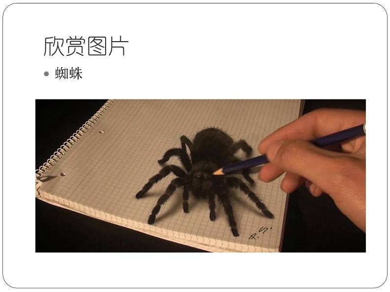 湘美版高中美术选修:绘画 1.3 形的空间及质感 课件102