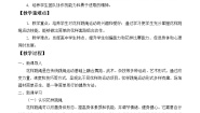 人教版 (2019)全一册第二节 花样跳绳教学设计