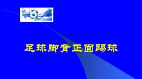 人教版 (2019)全一册第一节 足球课文配套ppt课件