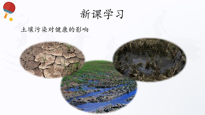 人教版高中体育4.3 环境与健康 课件第7页