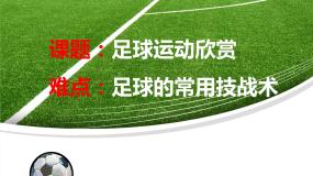 高中体育人教版 (2019)全一册第一节 足球图文ppt课件