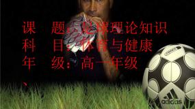 高中体育人教版 (2019)全一册第一节 足球课前预习课件ppt