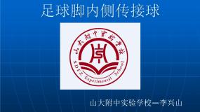 高中体育人教版 (2019)全一册第一节 足球课文内容ppt课件