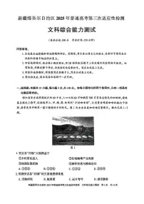2025届新疆维吾尔自治区高三下学期第三次适应性检测文综试卷（含答案）