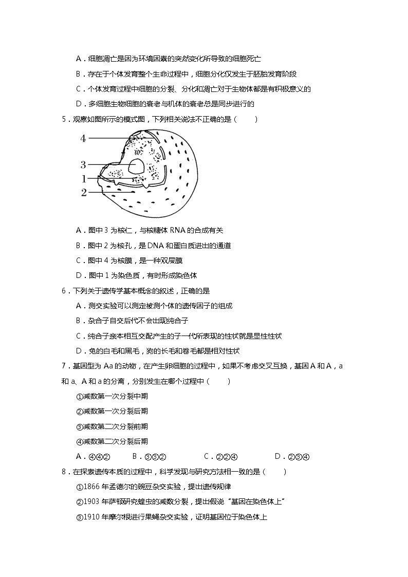 2020-2021学年西藏自治区拉萨中学高一下学期期末考试理综试题02