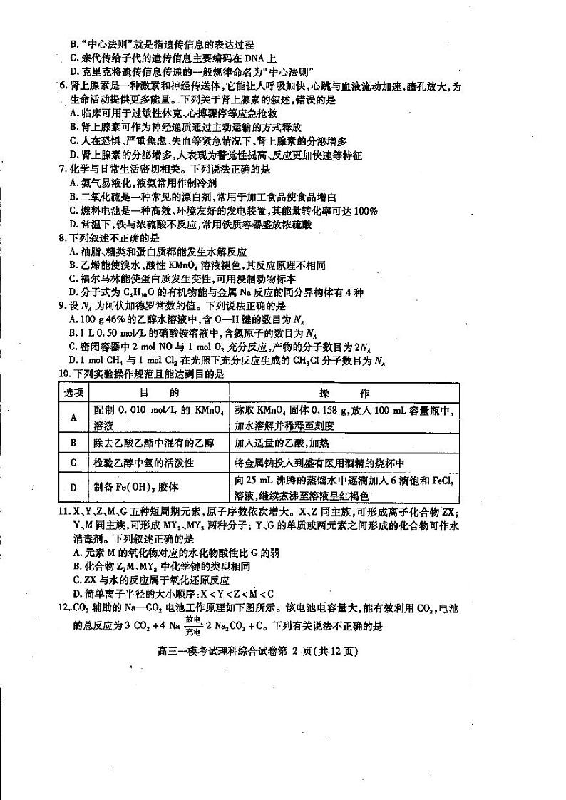 四川省内江市2019届高三第一次模拟考试理科综合试题(扫描版)第2页