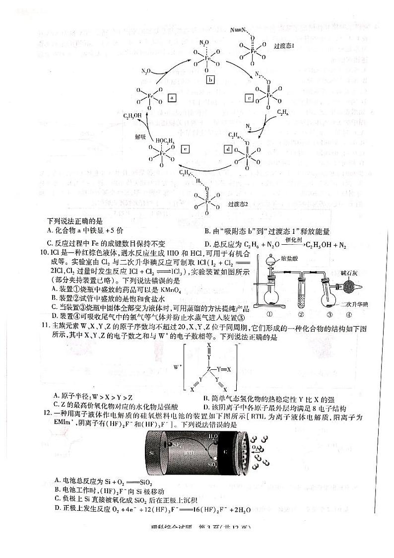2022届河南省大联考“顶尖计划”高三上学期第一次考试理综试题(PDF版)03