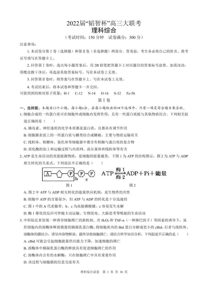 2022届广西“韬智杯”高三上学期9月大联考理综试题 PDF版01