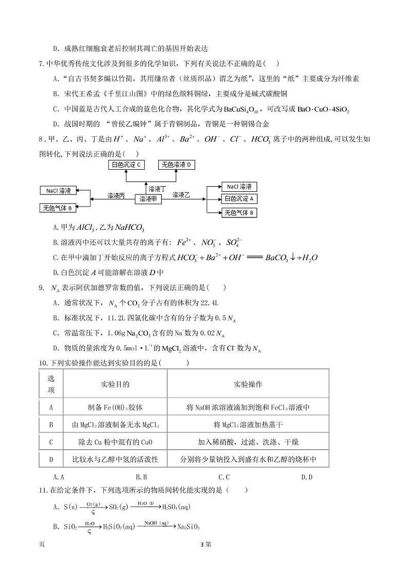 2022届西藏拉萨中学高三上学期第二次月考理综试题(PDF版含答案)第3页
