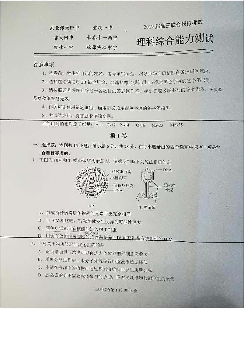 2019届东北师大附中、重庆一中、吉大附中、长春十一中等高三联合模拟考试理科综合试题 PDF版第1页