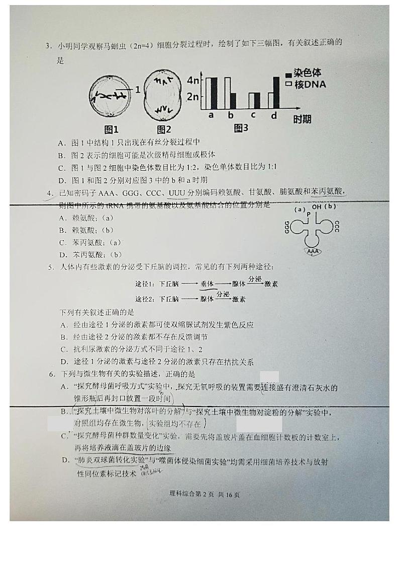 2019届东北师大附中、重庆一中、吉大附中、长春十一中等高三联合模拟考试理科综合试题 PDF版第2页