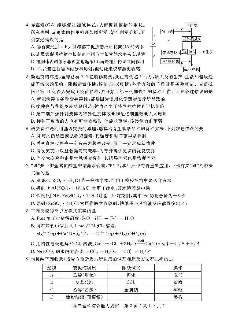 2022届川省乐山市高三上学期第一次调查研究考试理综试题 PDF版02