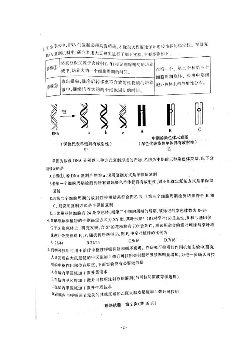 河南省平顶山许昌济源2020届高三第一次质量检测理科综合试题含答案第2页