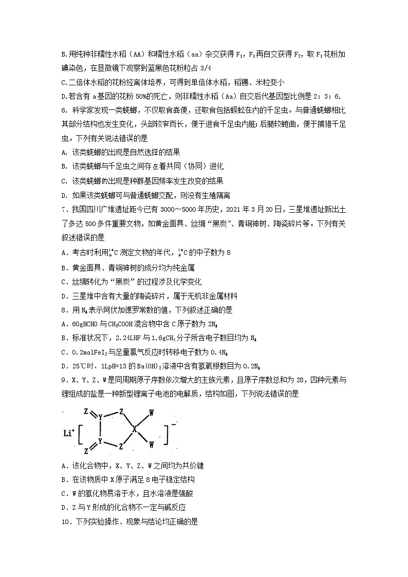 2022届黑龙江省鹤岗市第一中学高三上学期期末考试理综试题 word版含答案第2页
