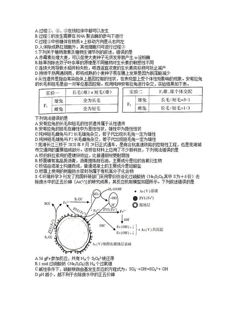 安徽省芜湖市2021届高三一模考试理科综合试题word版02