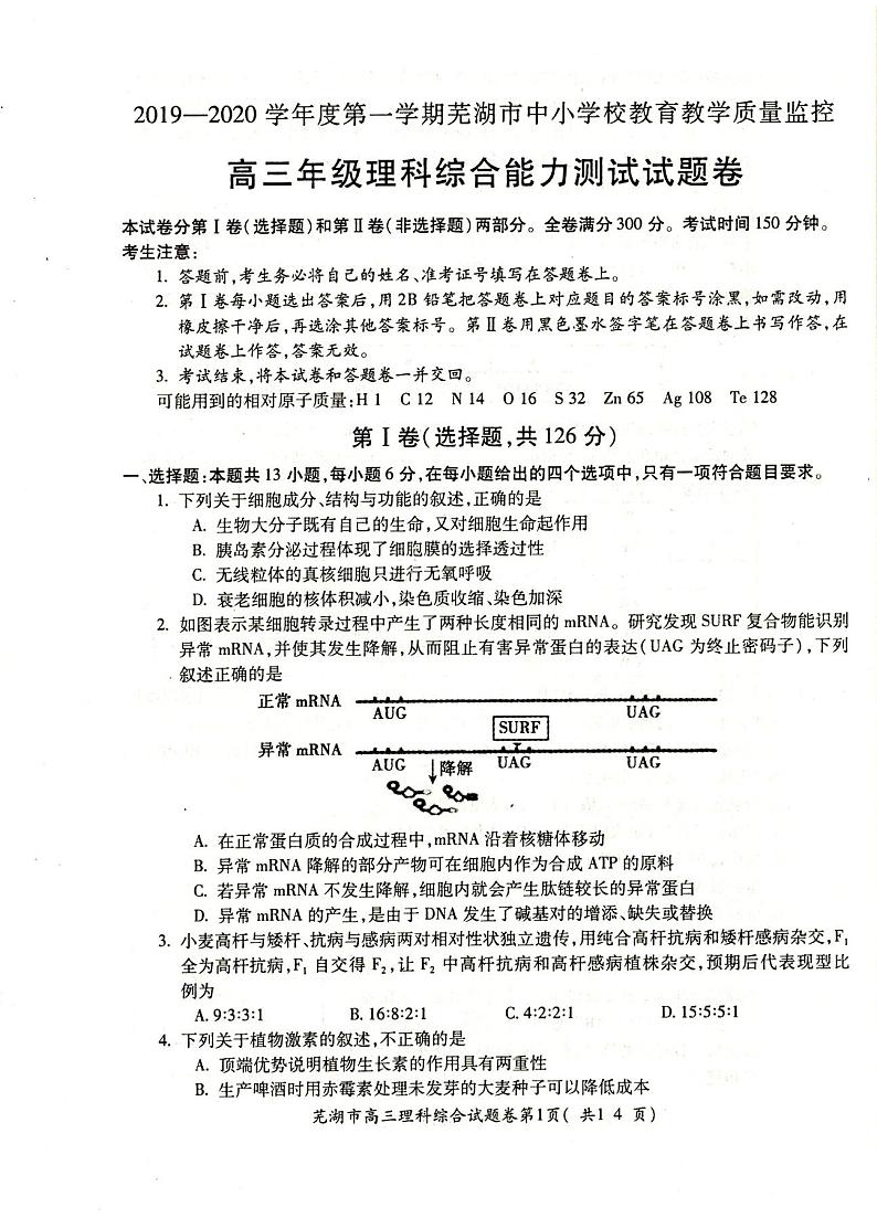 安徽省芜湖市2019-2020学年高三年级第一学期期末考试理科综合试题(扫描版无答案)第1页