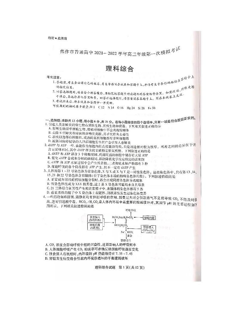 2022届河南省焦作市高三上学期11月第一次模拟考试理综试题 扫描版含答案01
