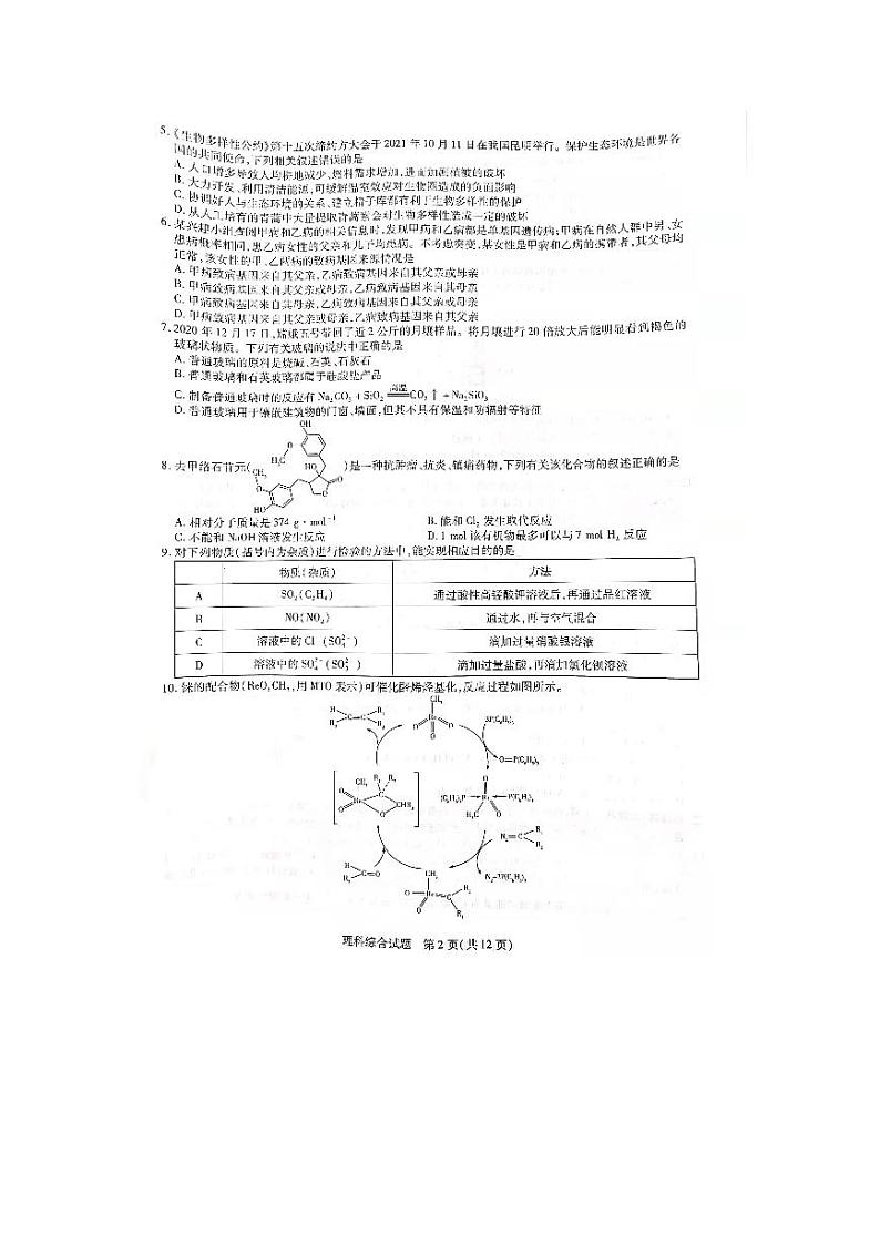 2022届河南省焦作市高三上学期11月第一次模拟考试理综试题 扫描版含答案02