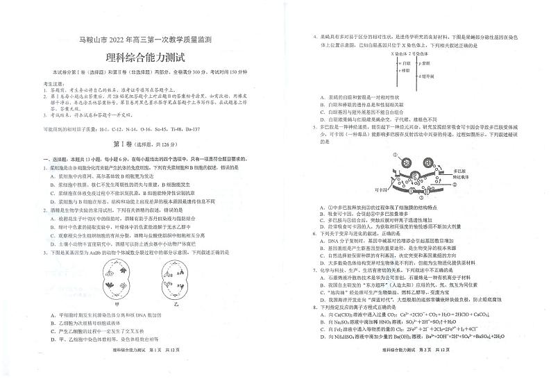 理综第1页