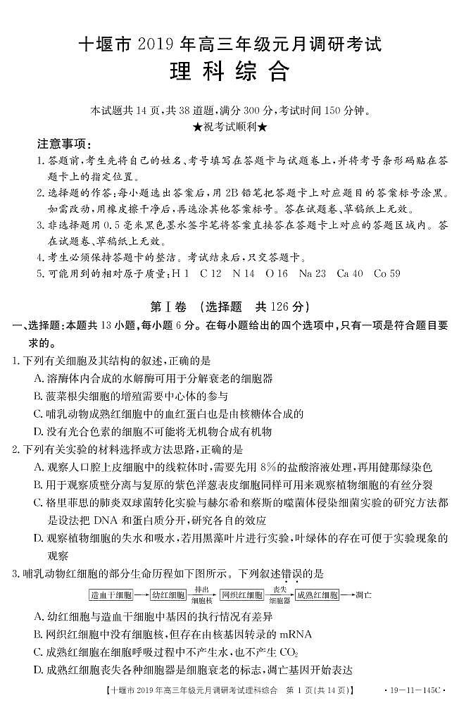 2019.1高三理综题与答上机稿第1页