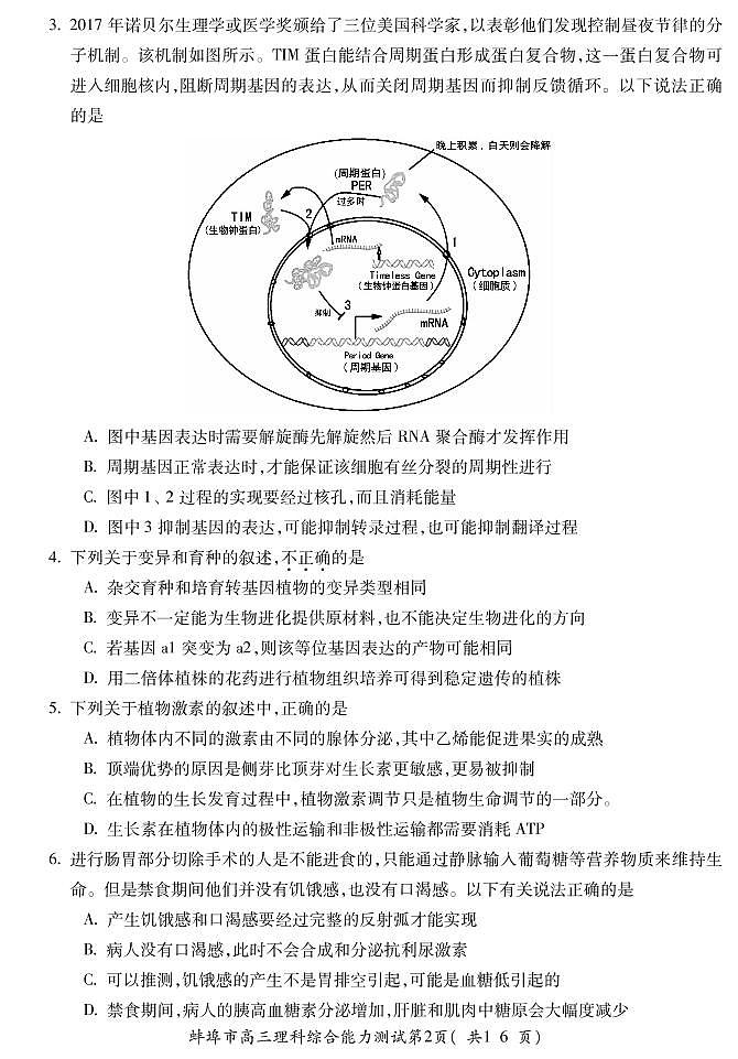 2018届安徽省蚌埠市高三第三次质量检测(三模) 理综(PDF版)第2页