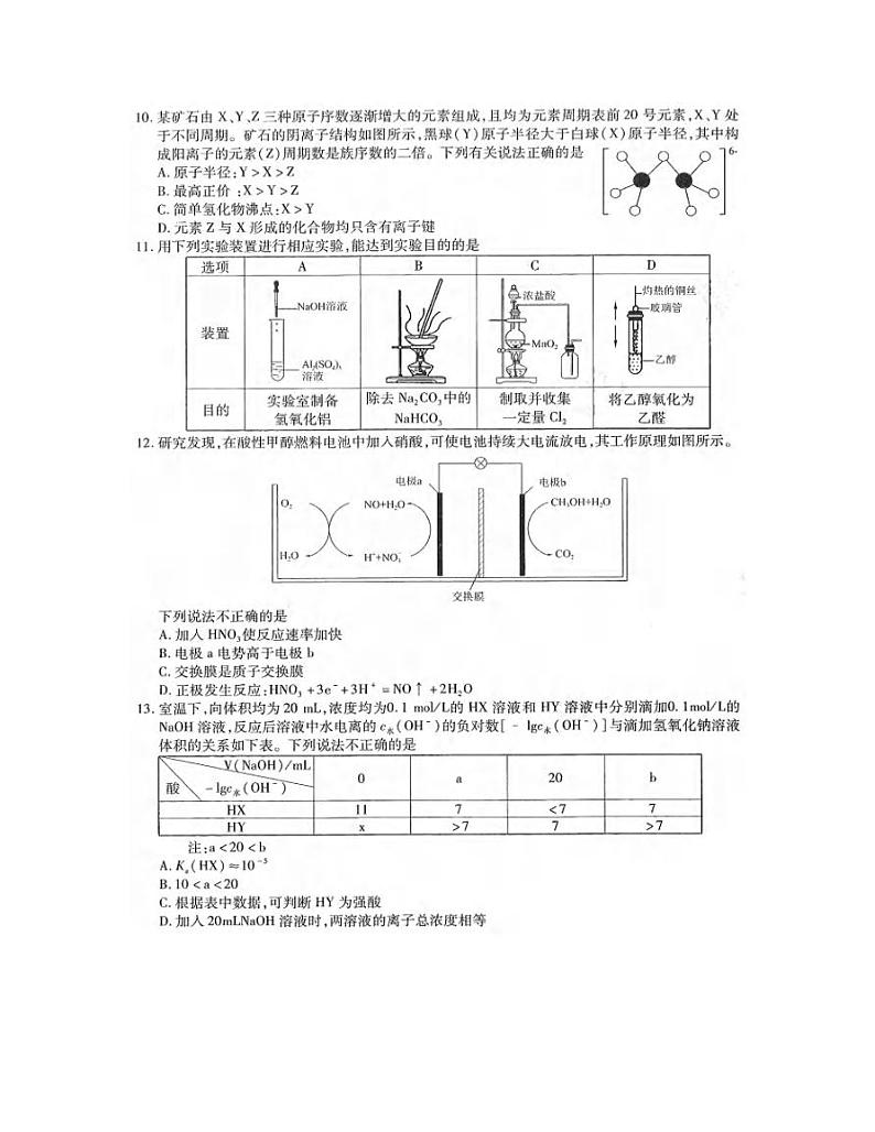 2022届东北三省三校(哈尔滨师大附中、东北师大附中、辽宁省实验中学)高三第一次联合模拟考试理科综合试题含答案第3页