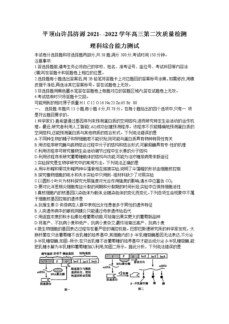 河南省平顶山市许昌市济源市2021-2022高三下学期第二次质量检测(二模)理科综合试题含答案01
