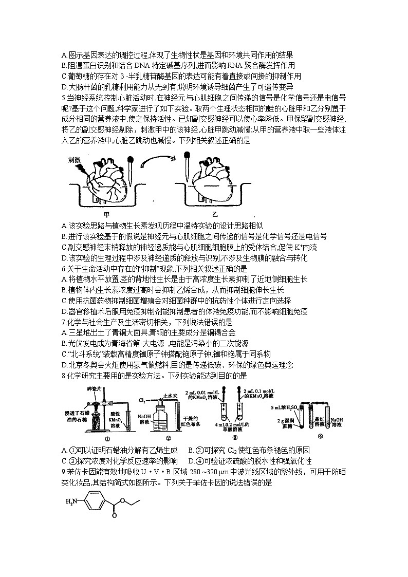 河南省平顶山市许昌市济源市2021-2022高三下学期第二次质量检测(二模)理科综合试题含答案02