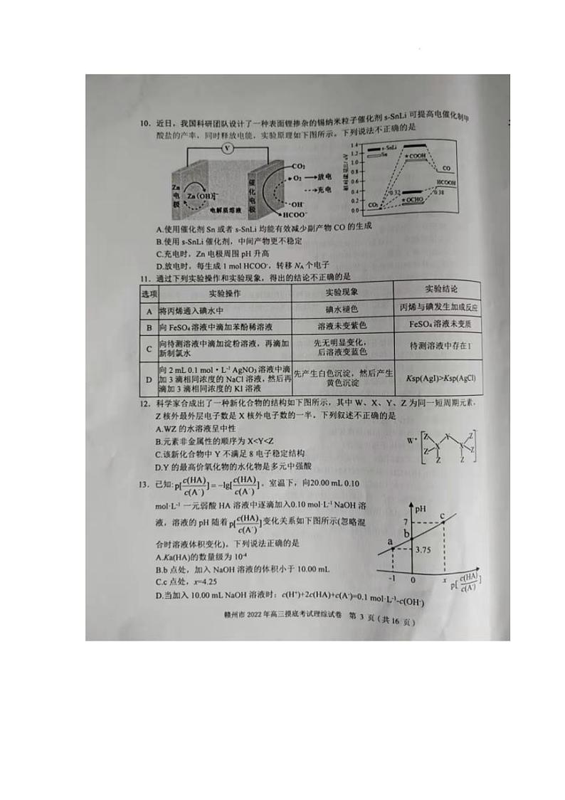 2022届江西省赣州市高三下学期3月摸底考试(一模)理科综合试题含答案第3页