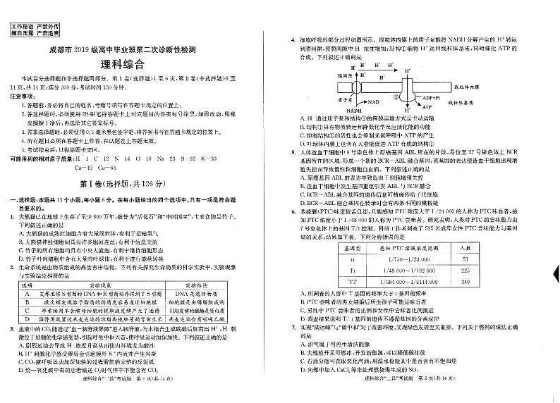成都市2019级高中毕业班理科综合第二次诊断检测(无答案)第1页
