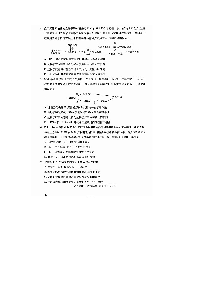 2022成都高三上学期第一次诊断性检测理综试题扫描版无答案第2页