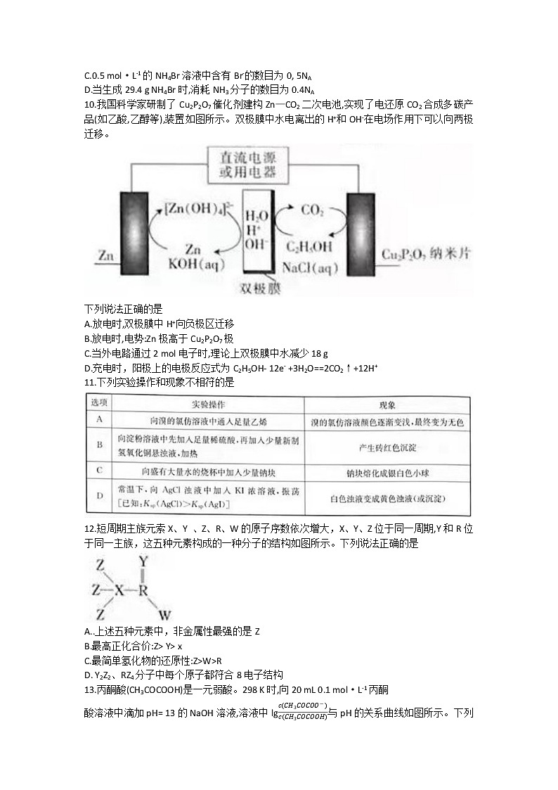2022届吉林省白山市高三上学期一模理科综合试题第3页