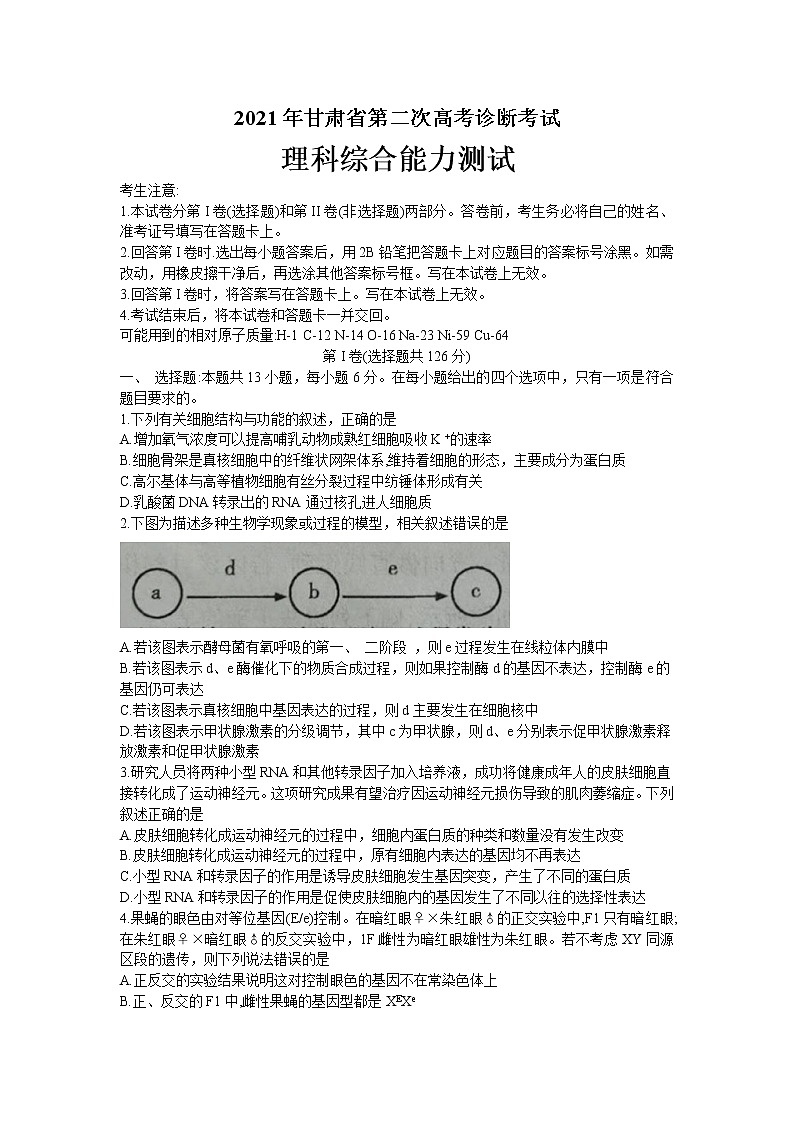 2021届甘肃省武威高三二模理综试卷及答案01
