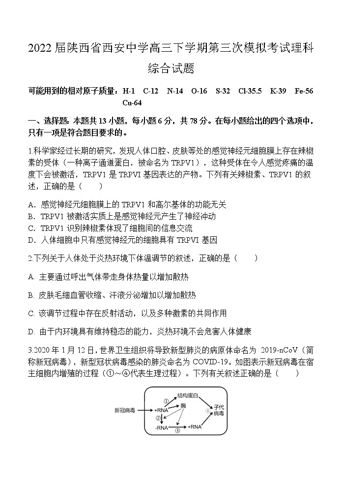 2022届陕西省西安中学高三下学期第三次模拟考试理科综合试题 (1)第1页