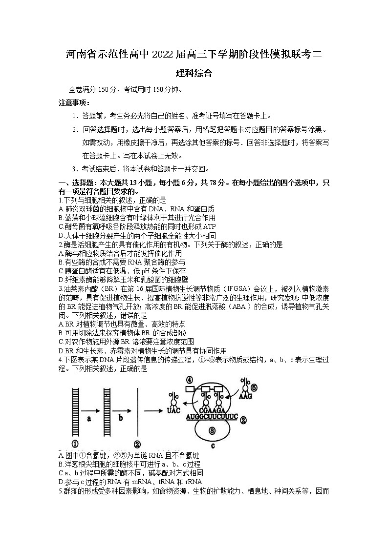 河南省示范性高中2022届高三下学期阶段性模拟联考二理科综合试题(WORD版含答案 )第1页